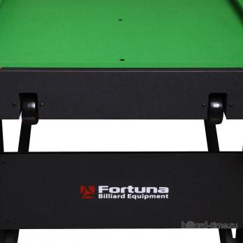 Бильярдный стол Fortuna Hobby BF-630S Cнукер 6фт с комплектом аксессуаров